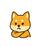 おちゃめ柴犬 リアクションパレード（個別スタンプ：15）
