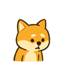 おちゃめ柴犬 リアクションパレード（個別スタンプ：16）