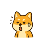 おちゃめ柴犬 リアクションパレード（個別スタンプ：19）