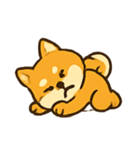 おちゃめ柴犬 リアクションパレード（個別スタンプ：24）