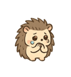 泣き虫ハリネズミのポキ（個別スタンプ：5）