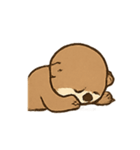 おちゃめカワウソの感情スプラッシュ（個別スタンプ：19）