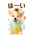 癒しコーギーの気軽な敬語スタンプ【BIG】（個別スタンプ：3）