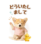 癒しコーギーの気軽な敬語スタンプ【BIG】（個別スタンプ：12）
