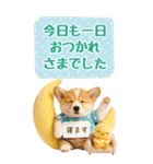 癒しコーギーの気軽な敬語スタンプ【BIG】（個別スタンプ：15）