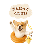 癒しコーギーの気軽な敬語スタンプ【BIG】（個別スタンプ：23）