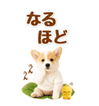 癒しコーギーの気軽な敬語スタンプ【BIG】（個別スタンプ：26）