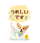 癒しコーギーの気軽な敬語スタンプ【BIG】（個別スタンプ：27）