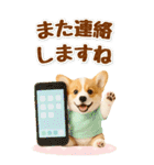 癒しコーギーの気軽な敬語スタンプ【BIG】（個別スタンプ：38）