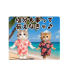 夏♡エッホエッホ♪ネコたちにゃんだふる～（個別スタンプ：6）