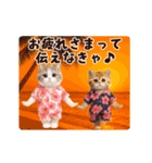 夏♡エッホエッホ♪ネコたちにゃんだふる～（個別スタンプ：10）