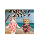 夏♡エッホエッホ♪ネコたちにゃんだふる～（個別スタンプ：14）