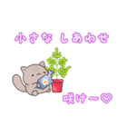 子猫の可愛いあいさつスタンプ（個別スタンプ：37）