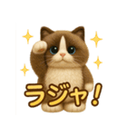 にゃんとかなるさ！改（個別スタンプ：16）