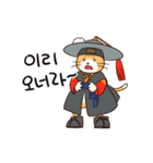 サット猫 (ANI)(KOR)（個別スタンプ：1）