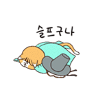サット猫 (ANI)(KOR)（個別スタンプ：4）
