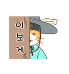サット猫 (ANI)(KOR)（個別スタンプ：11）