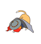 サット猫 (ANI)(KOR)（個別スタンプ：17）