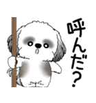 B＆W シーズー犬 「飛び出す」No.2（縦長）（個別スタンプ：1）