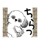 B＆W シーズー犬 「飛び出す」No.2（縦長）（個別スタンプ：2）