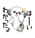 B＆W シーズー犬 「飛び出す」No.2（縦長）（個別スタンプ：7）