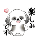 B＆W シーズー犬 「飛び出す」No.2（縦長）（個別スタンプ：8）