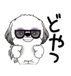 B＆W シーズー犬 「飛び出す」No.2（縦長）（個別スタンプ：9）