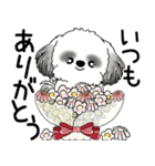 B＆W シーズー犬 「飛び出す」No.2（縦長）（個別スタンプ：11）