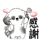 B＆W シーズー犬 「飛び出す」No.2（縦長）（個別スタンプ：12）