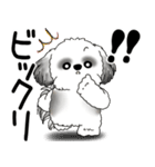 B＆W シーズー犬 「飛び出す」No.2（縦長）（個別スタンプ：13）