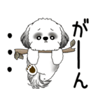B＆W シーズー犬 「飛び出す」No.2（縦長）（個別スタンプ：14）