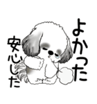 B＆W シーズー犬 「飛び出す」No.2（縦長）（個別スタンプ：20）