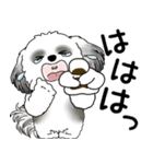 B＆W シーズー犬 「飛び出す」No.2（縦長）（個別スタンプ：21）