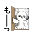 B＆W シーズー犬 「飛び出す」No.2（縦長）（個別スタンプ：22）