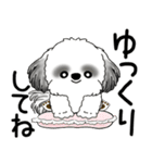 B＆W シーズー犬 「飛び出す」No.2（縦長）（個別スタンプ：23）