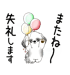 B＆W シーズー犬 「飛び出す」No.2（縦長）（個別スタンプ：24）