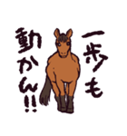 馬です.（個別スタンプ：22）