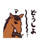 馬です.（個別スタンプ：38）