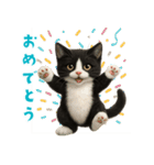 夏気分♪ハチワレ猫ぬいぐるみスタンプ（個別スタンプ：7）