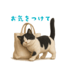 夏気分♪ハチワレ猫ぬいぐるみスタンプ（個別スタンプ：19）
