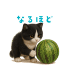 夏気分♪ハチワレ猫ぬいぐるみスタンプ（個別スタンプ：21）