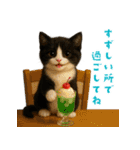 夏気分♪ハチワレ猫ぬいぐるみスタンプ（個別スタンプ：25）