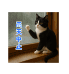 夏気分♪ハチワレ猫ぬいぐるみスタンプ（個別スタンプ：28）