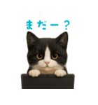 夏気分♪ハチワレ猫ぬいぐるみスタンプ（個別スタンプ：32）