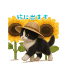 夏気分♪ハチワレ猫ぬいぐるみスタンプ（個別スタンプ：35）