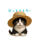 夏気分♪ハチワレ猫ぬいぐるみスタンプ（個別スタンプ：37）