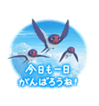 飛び出す♪美しい空（個別スタンプ：15）