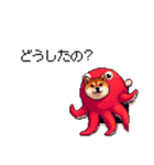 タコな太っちょ柴犬（個別スタンプ：2）
