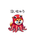 タコな太っちょ柴犬（個別スタンプ：3）