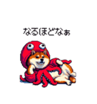 タコな太っちょ柴犬（個別スタンプ：4）